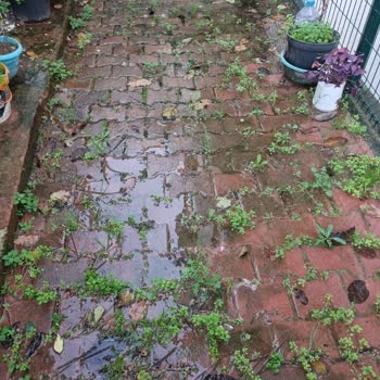 İBB - İstanbul Büyükşehir Belediyesi Sorumluluklarınızı Yerine Getirin Lütfen