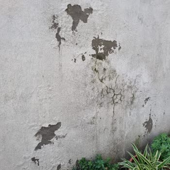 İBB - İstanbul Büyükşehir Belediyesi Sorumluluklarınızı Yerine Getirin Lütfen