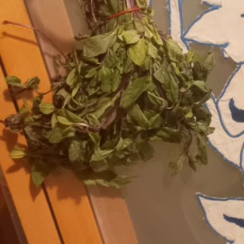 İstegelsin Siparişindeki Çürük Ve Yanlış Ürünler