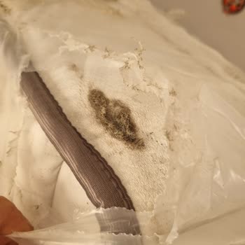 PttAVM Adrese Teslimat Var Denmesine Rağmen Teslimat Olmadı Ürün Hasar Gördü