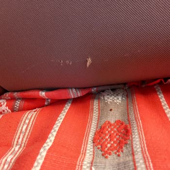 Tüvtürk Özensizliği, Koltuk Yırttı