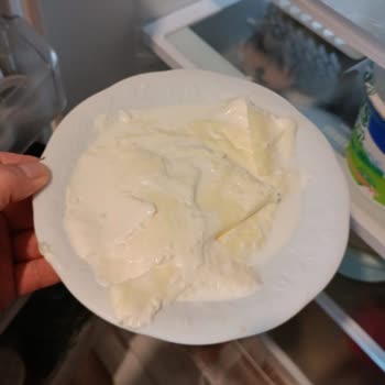 Berk Süt Mamülleri Süt Kalitesi Düşük