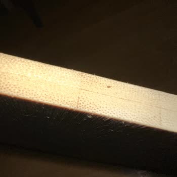 Madame Coco Kesme Tahtası Böcek Üretiyor.
