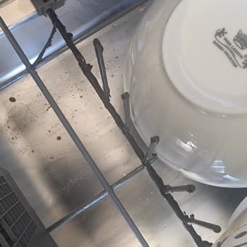 Arçelik 9280 Ylı Bulaşık Sepetleri Paslandı!