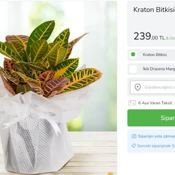 ÇiçekSepeti Çiçek Sepetinden Müşteri Aldatan Davranış Ve Ayıplı Ürün