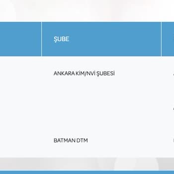 PTT Kargo Batman DTM Kargo