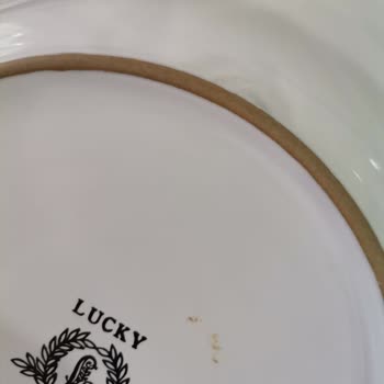 Lekeli Yıkama Yapan Bosch Bulaşık Makinesi, Ve Sorunu Çözmeyen Servis