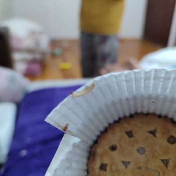 Ülker Kurtlu Probis Bisküvi