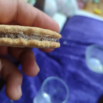 Ülker Kurtlu Probis Bisküvi