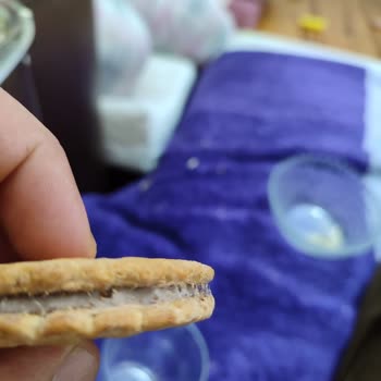 Ülker Kurtlu Probis Bisküvi