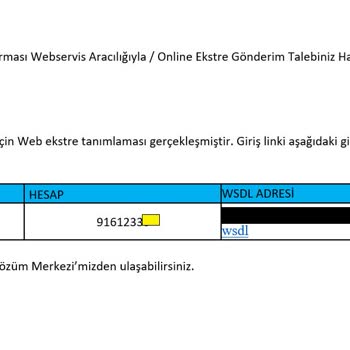 Enpara Şirketim Web Ekstre Kullanıcı Şifresini Gönderemedi
