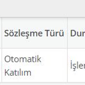 Türkiye Hayat Emeklilik BES Kaydıma Ulaşamıyorum.