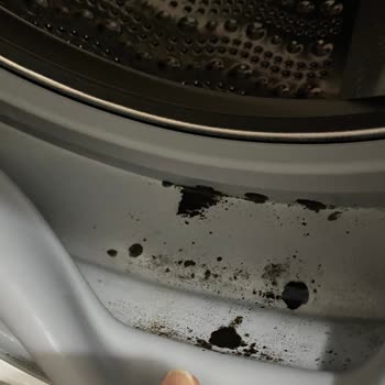 Siemens Ev Aletleri Çamaşır Makine Lastiği Küf Oldu İQ300