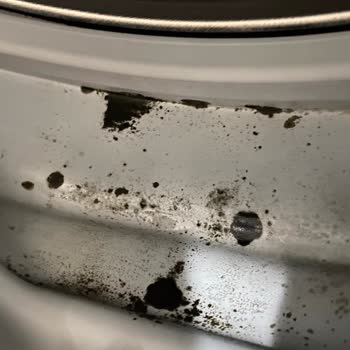 Siemens Ev Aletleri Çamaşır Makine Lastiği Küf Oldu İQ300