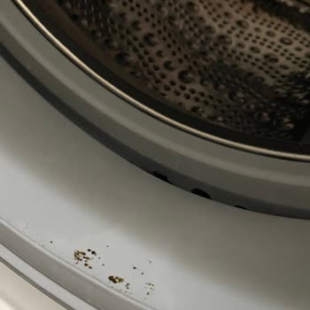 Siemens Ev Aletleri Çamaşır Makine Lastiği Küf Oldu İQ300