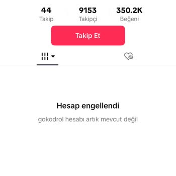 TikTok Hesabım Askıya Alındı