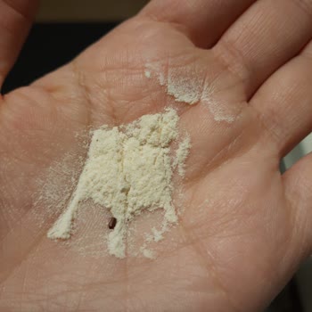 Arifoğlu'nun Hazır Salep'inden Böcek Çıktı!