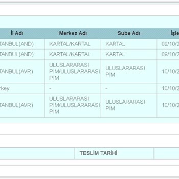 PTT Kargo Yurt Dışı Posta Hizmeti