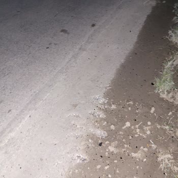 Otokoç 2023 Model Fiorino'nun Kendi Kendine Camı Patladı