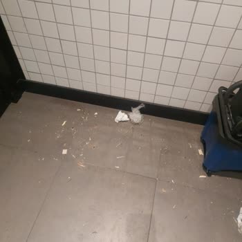 İBB - İstanbul Büyükşehir Belediyesi Hijyen Ve Denetimsizlik