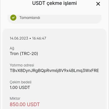 Paribu Teknoloji A. Ş.