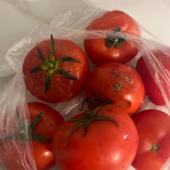 Migros İncek'te Küflü Ürün Sorunu!