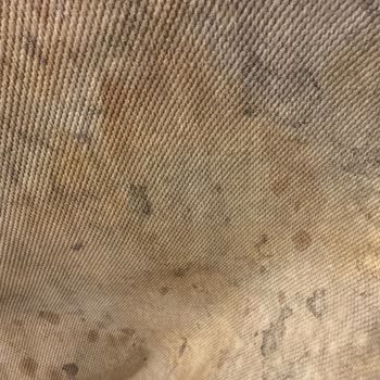 Gül Halı Yıkama (İstanbul) İstanbul Güngören'de Yıkama Sonrası Halı Problemi