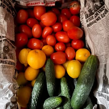 UPS Türkiye Kargomda Eksik Ürün Teslimi