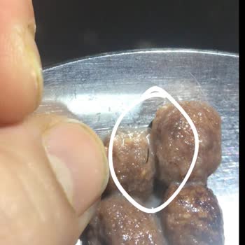 Nestle Nesquik Çıkan Kıl