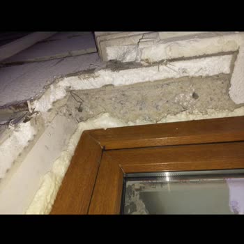 Çekmeköy Belediyesi Binamızın Perde Betonu Ve Kolonu Kesilmiş