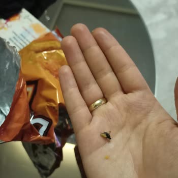 Doritos Cipsi'den Ölmüş Sinek Çıktı