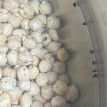 BİM Bozuk Bakliyat Satışı