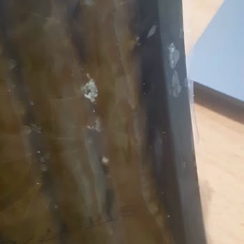 Migroshemen Uygulamasında Ürünlerin Küflü Ve Bozuk Gelmesi