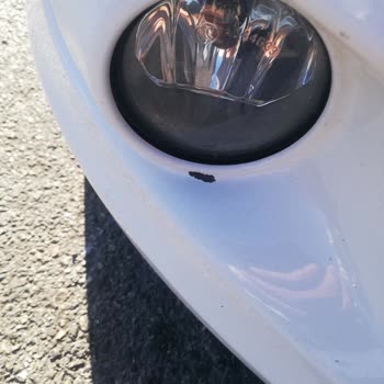 Citroen Almak Pişmanlıktır Aracımın Boyası Dökülüyor