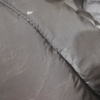 DeFacto Çocuk Montunun Derisinin Atması