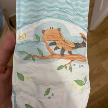 Prima'da Islaklık Göstergesi Yok