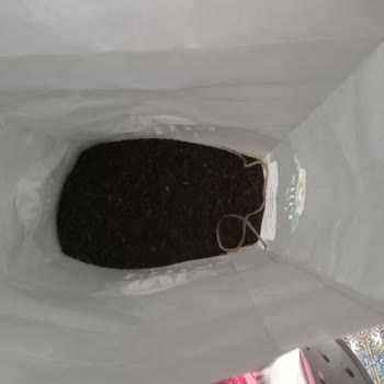 Migros Filiz Çay İçerisinde Yabancı Madde