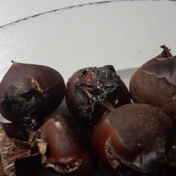 Özer AVM (Bursa) Mahalle Marketinde Satılan Kestaneler Sağlığa Zararlı Çıktı