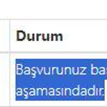 Nüfus Ve Vatandaşlık İşleri Pasaport Teslim Süreci