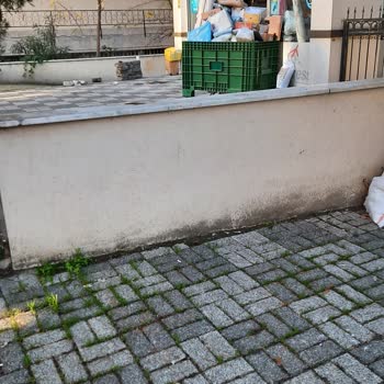 Sürat Kargo Aynı Tas Aynı Hamam