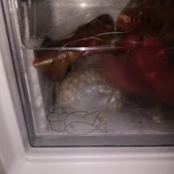 Arçelik Derin Dondurucu En Alt Rafı Çatladı