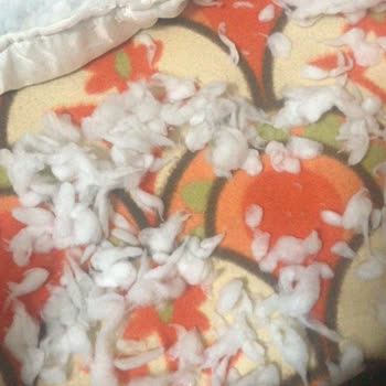 Bershka Montum Söndü Ve Astarı Yırtıldı!