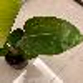 Heryerbitki.com Görselle Alakası Olmayan Ürün