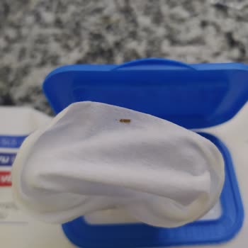 Sleepy Islak Havlusu İçinden Minik Cisim Çıktı