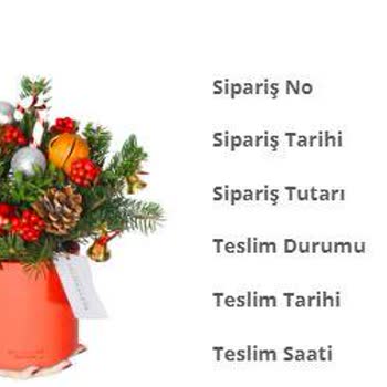 Her Yer Bitki Değil