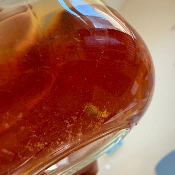 Lipton Paketli Çayda Beklenmedik Misafir