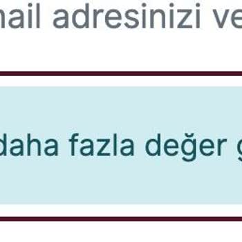 VFS Global'e Giriş Sorunu