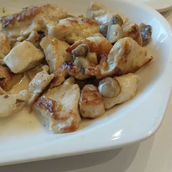 Tavuk Dünyası Kuru Krema Soslu Mantar