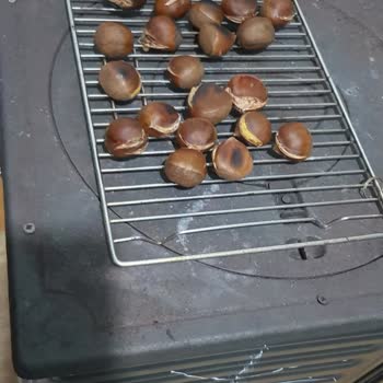 Mopaş Hipermarket Mapaş Çin Kestanesi