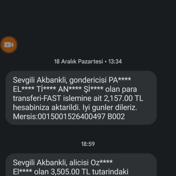 Ozan Elektronik Para Cidden Mağdurum Paramı Geri Verin